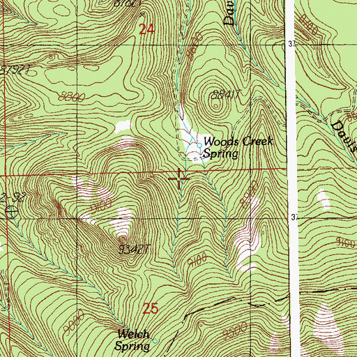 Topographic Map of Woods Creek Spring, AZ