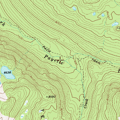 Topographic Map of Tenlake Creek, ID