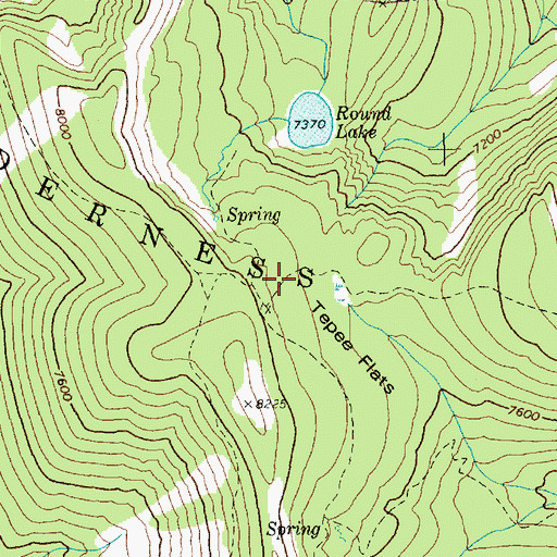 Topographic Map of Tepee Flats, ID