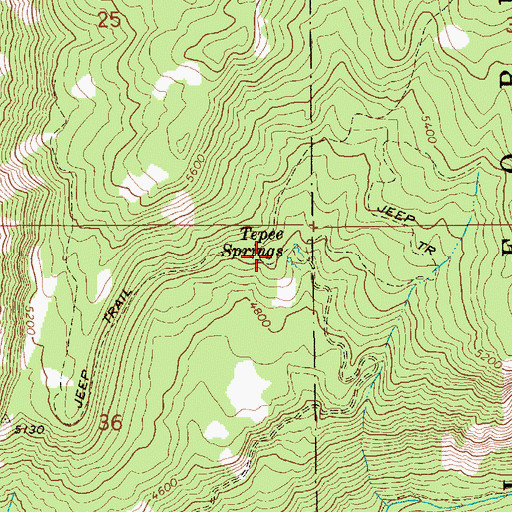 Topographic Map of Tepee Springs, ID