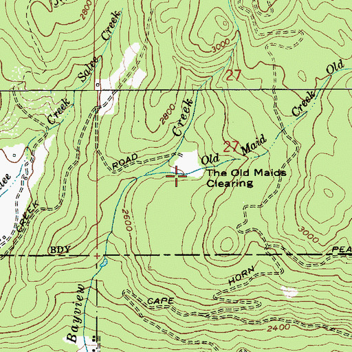 Topographic Map of The Old Maids Clearing, ID