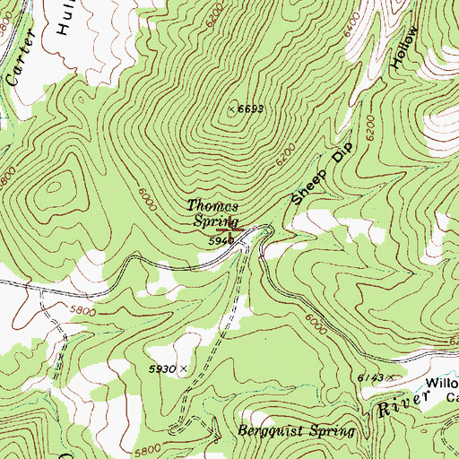Topographic Map of Thomas Spring, ID