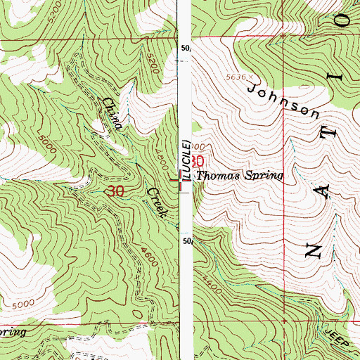 Topographic Map of Thomas Spring, ID