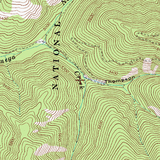 Topographic Map of Thompson Gulch, ID
