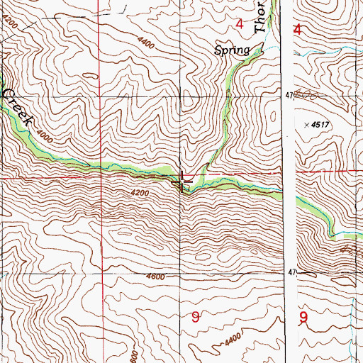 Topographic Map of Thorn Creek, ID
