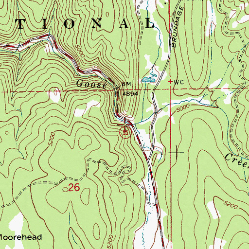 Topographic Map of Thorn Creek, ID