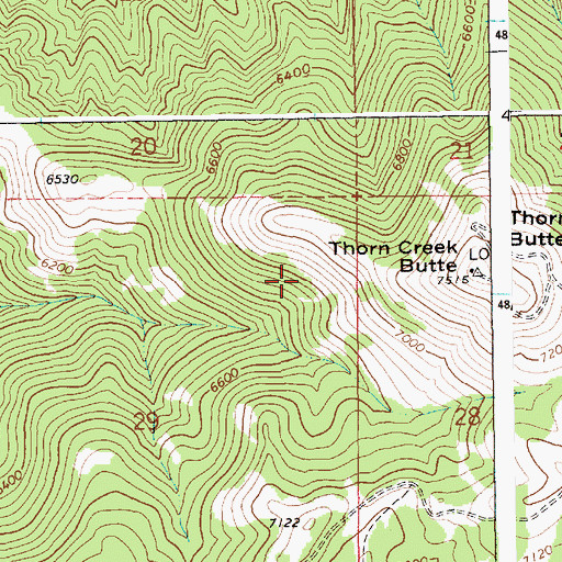 Topographic Map of Thorn Creek Butte, ID