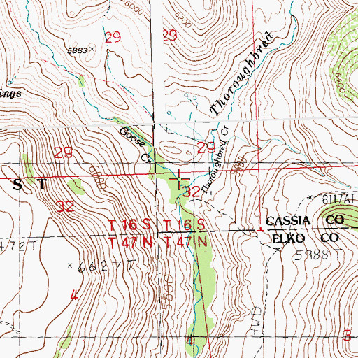 Topographic Map of Thoroughbred Creek, ID