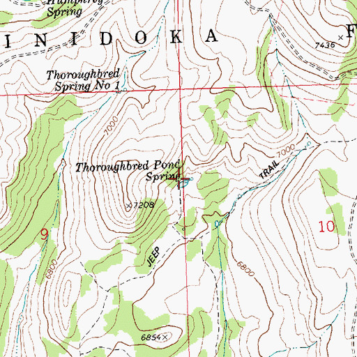 Topographic Map of Thoroughbred Pond Spring, ID