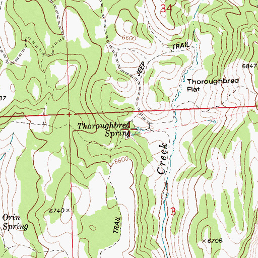 Topographic Map of Thoroughbred Spring, ID