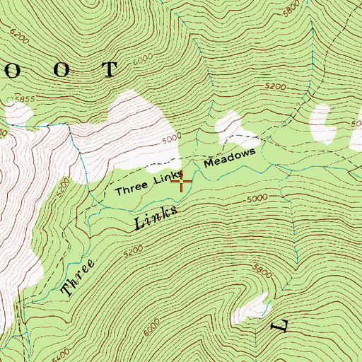 Topographic Map of Three Links Meadows, ID