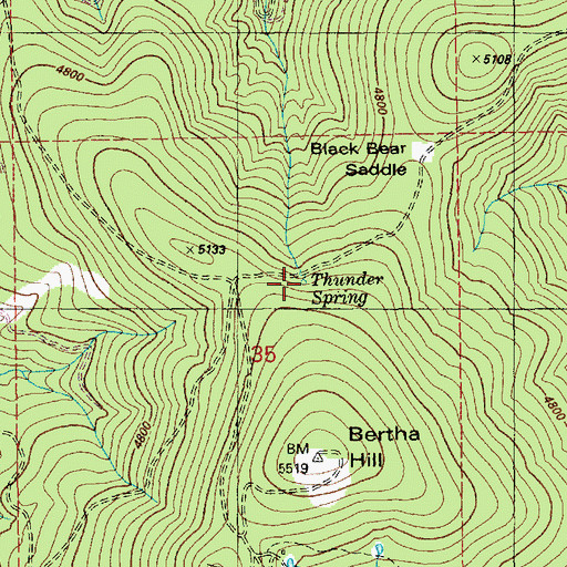 Topographic Map of Thunder Spring, ID