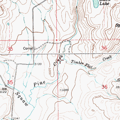 Topographic Map of Timber Flat Creek, ID