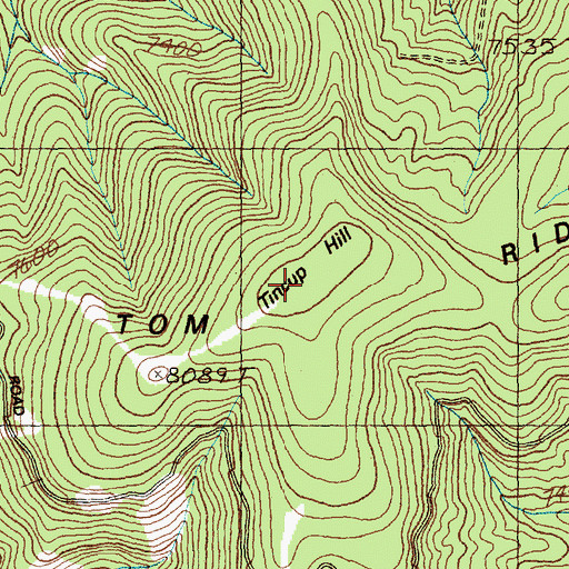 Topographic Map of Tincup Hill, ID