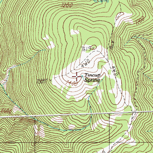 Topographic Map of Tincup Spring, ID
