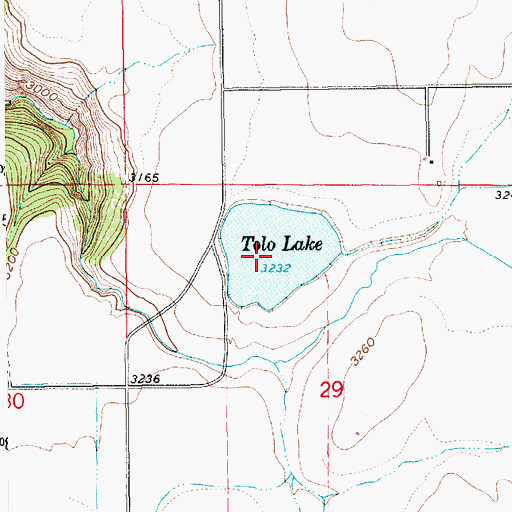 Topographic Map of Tolo Lake, ID
