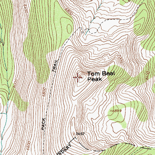 Topographic Map of Tom Beal Peak, ID