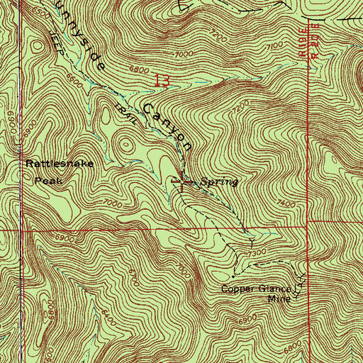 Topographic Map of Rattlesnake Spring, AZ