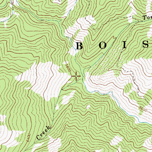 Topographic Map of Tomahawk Creek, ID