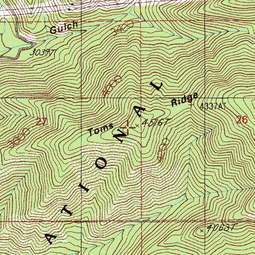 Topographic Map of Toms Ridge, ID
