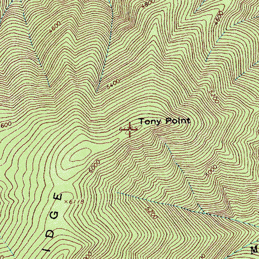 Topographic Map of Tony Point, ID