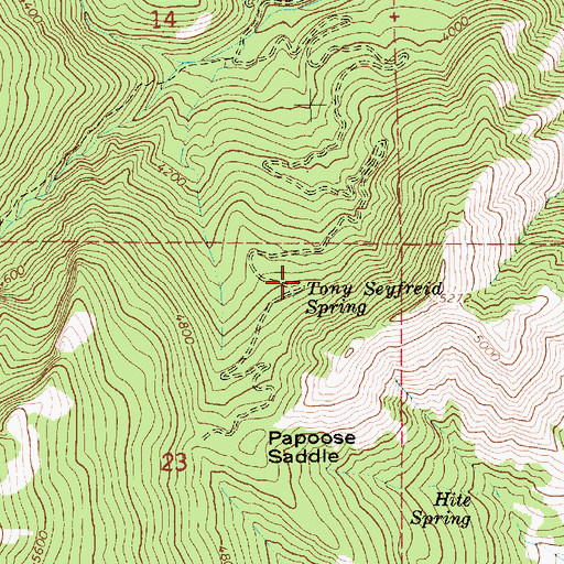 Topographic Map of Tony Seyfreid Spring, ID