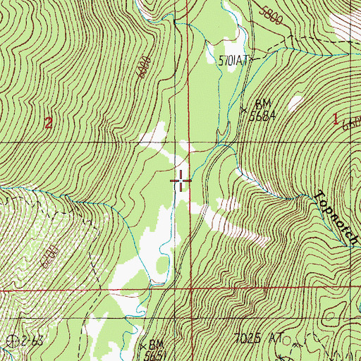 Topographic Map of Topnotch Creek, ID