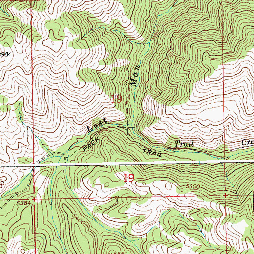 Topographic Map of Trail Creek, ID