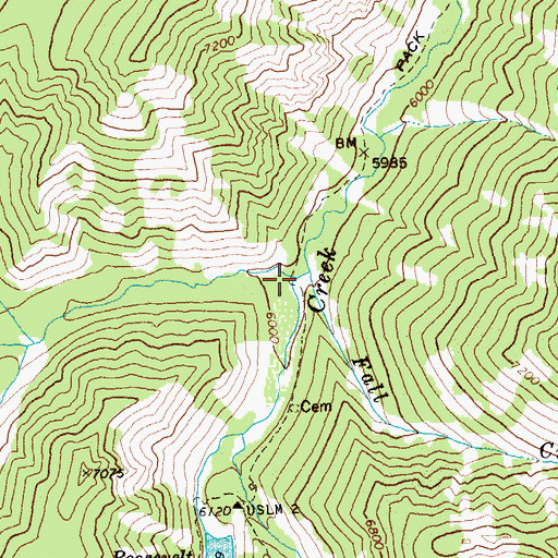 Topographic Map of Trap Creek, ID