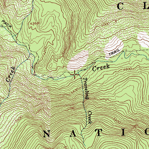 Topographic Map of Traveling Creek, ID