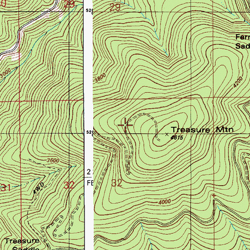 Topographic Map of Treasure Mountain, ID