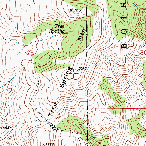 Topographic Map of Tree Spring Mountain, ID