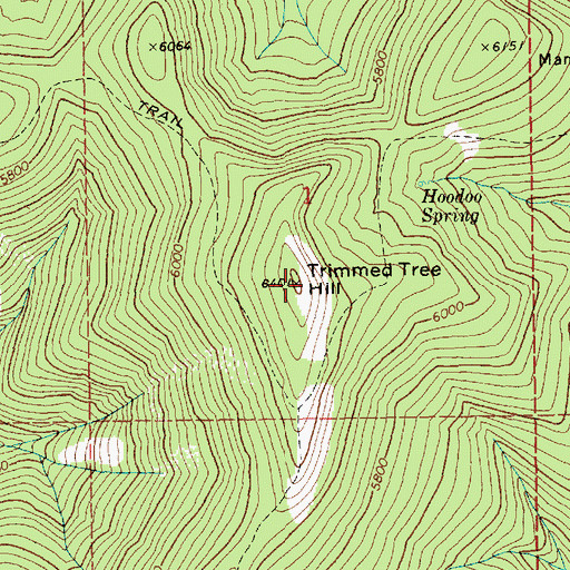Topographic Map of Trimmed Tree Hill, ID