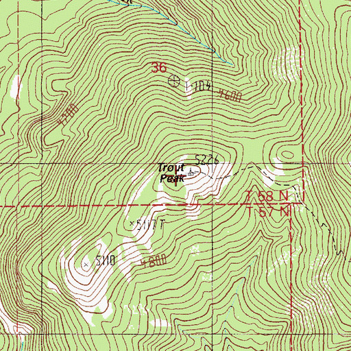 Topographic Map of Trout Peak, ID