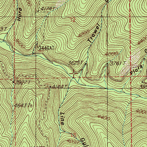 Topographic Map of Trowel Gulch, ID