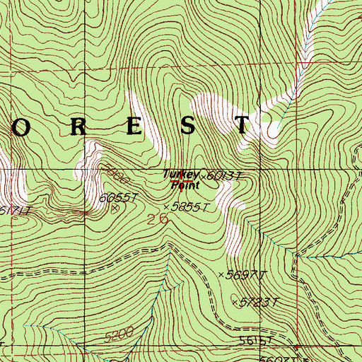 Topographic Map of Turkey Point, ID