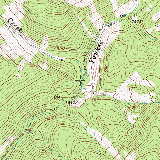 Topographic Map of Twelvemile Creek, ID