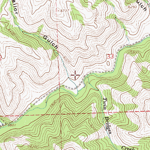 Topographic Map of Twin Bridges Creek, ID