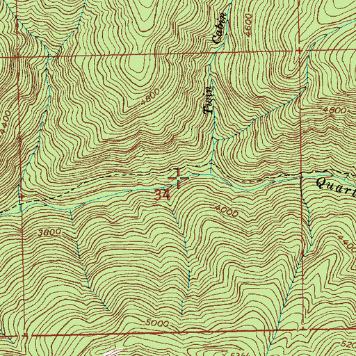 Topographic Map of Twin Cabin Creek, ID