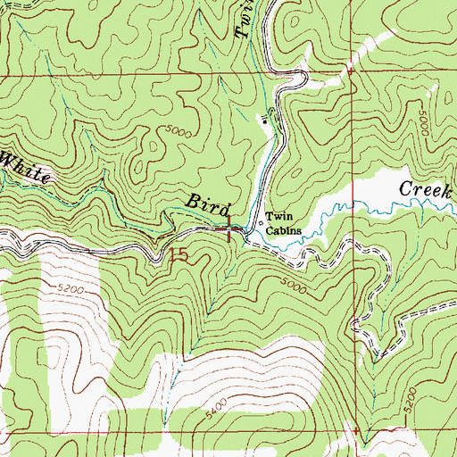 Topographic Map of Twin Cabins Creek, ID