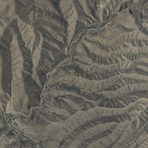 Aerial/Satellite Image of Bee Tree Spring, AZ