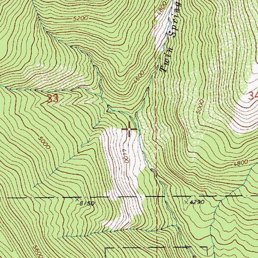 Topographic Map of Twin Spring Creek, ID