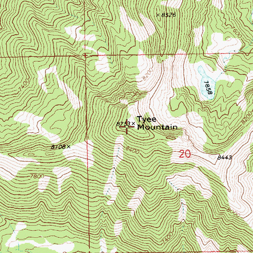 Topographic Map of Tyee Mountain, ID