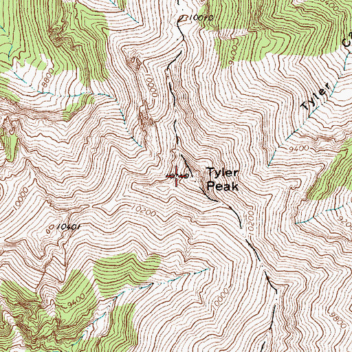 Topographic Map of Tyler Peak, ID