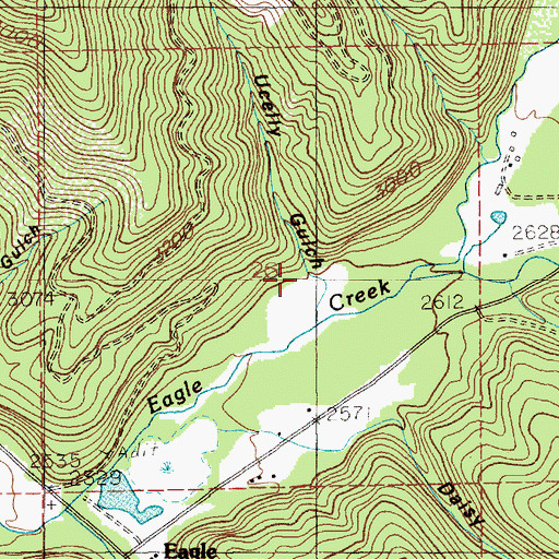 Topographic Map of Ucelly Gulch, ID