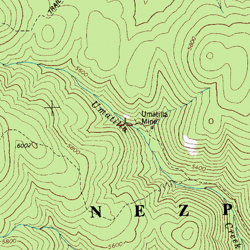 Topographic Map of Umatilla Mine, ID