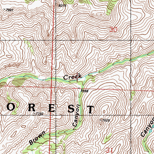 Topographic Map of Upper Brown Canyon, ID