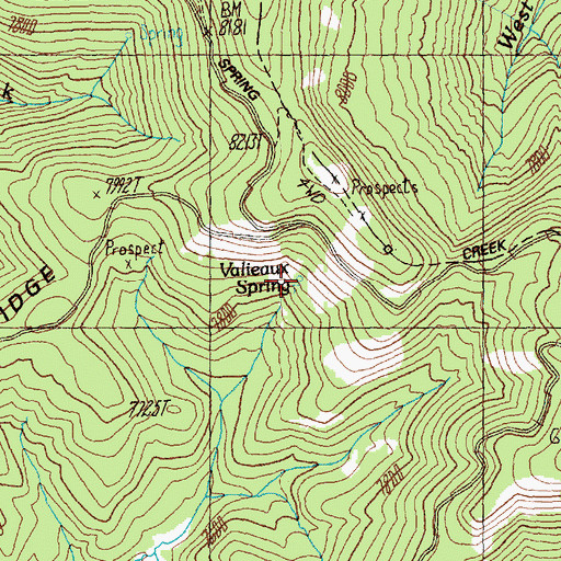 Topographic Map of Valieaux Spring, ID