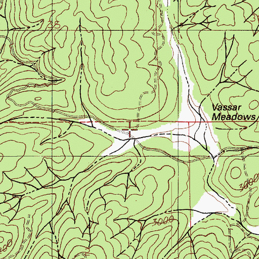Topographic Map of Vassar Meadows, ID