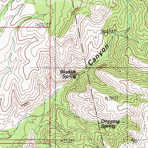 Topographic Map of Bladder Spring, AZ